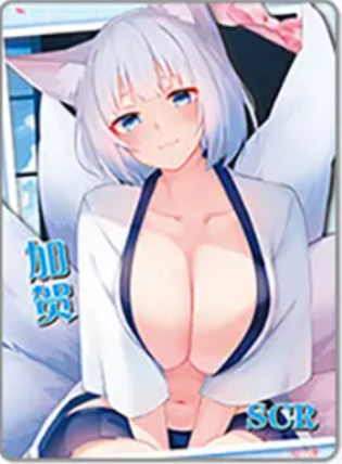 NS-02-M16-003 Kaga | Azur Lane
